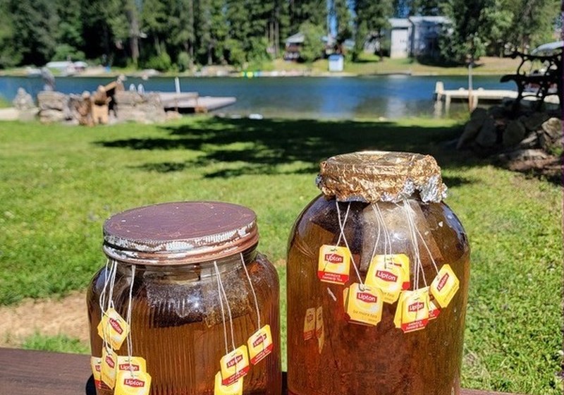 Two jars of sun tea on a picnic table with the lake behind